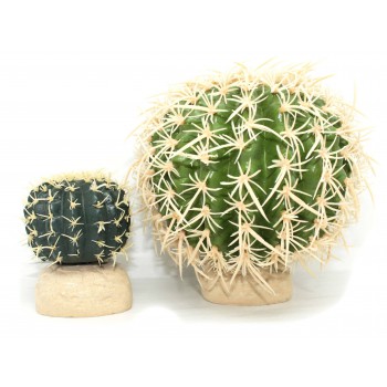 Cactus pour terrarium désertique - EXO TERRA