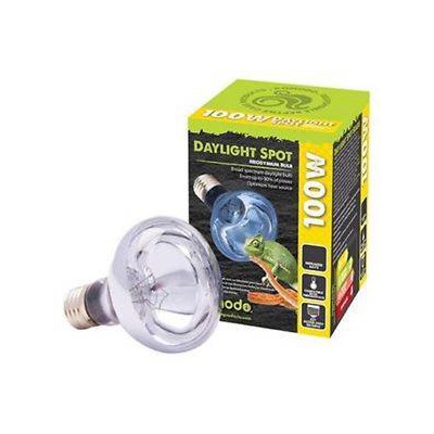 Ampoule chauffante neodymium "Daylight spot" - Komodo
