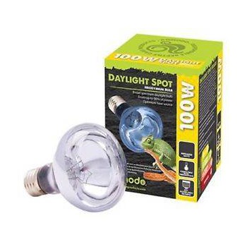 Ampoule chauffante neodymium "Daylight spot" - Komodo