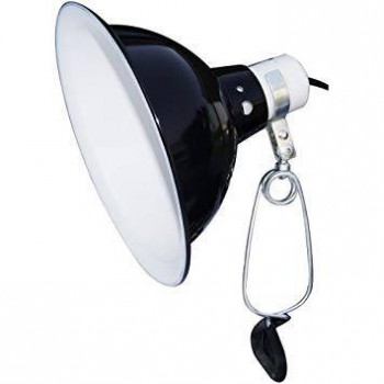 Support de lampe + dôme en céramique "Dome clamp lamp" - Komodo