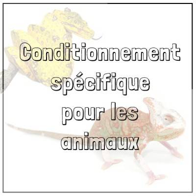 - Conditionnement hivernal des animaux vivants -