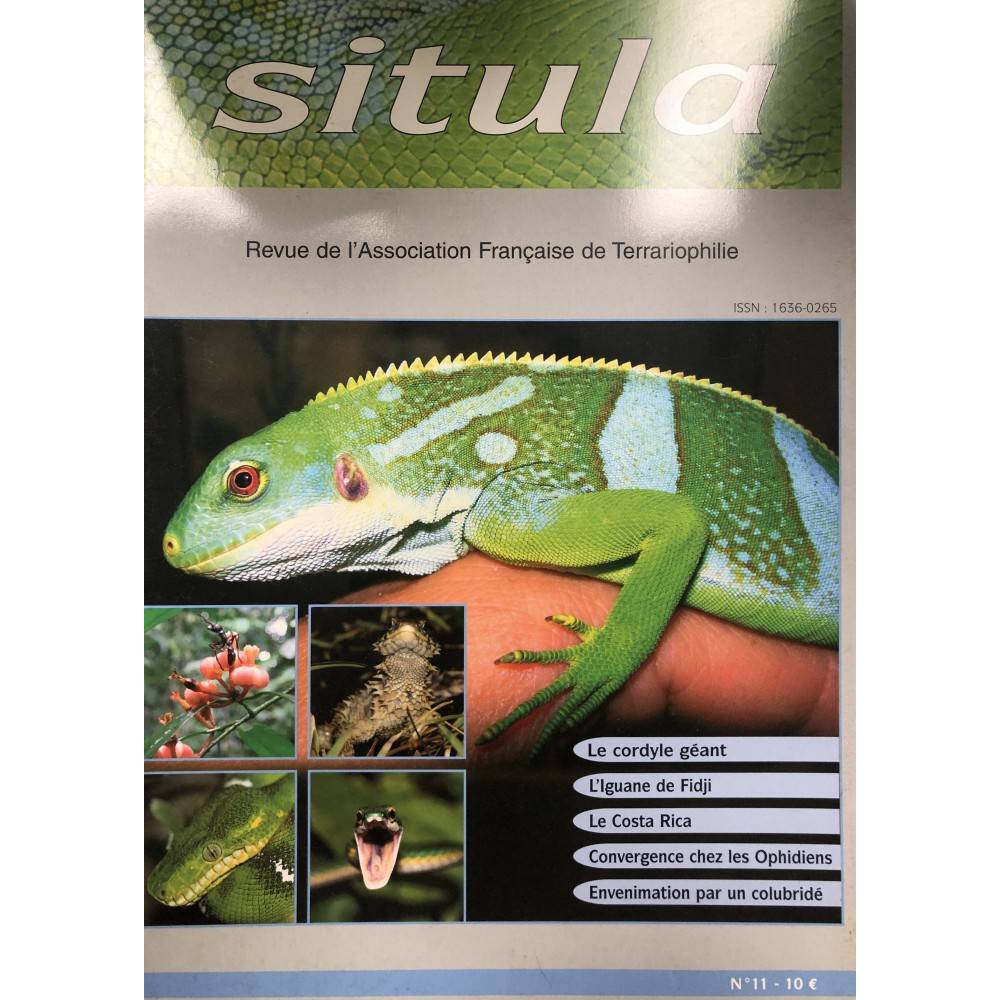 Situla n°11 : Iguane des Fidji, Cordylus giganteus, convergence chez les Ophiidiens