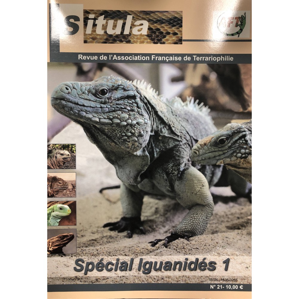 Situla n°21 : spécial Iguanidae 1 !