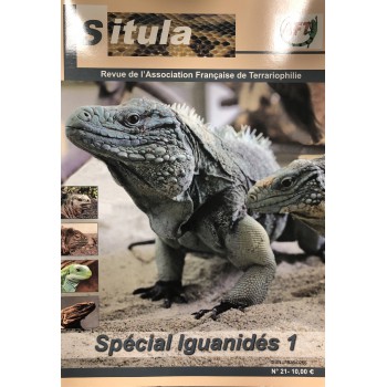 Situla n°21 : spécial Iguanidae 1 !