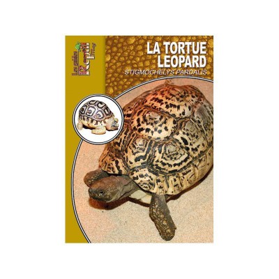 La tortue léopard- Stygmochelys pardalis- Les guides Reptilmag
