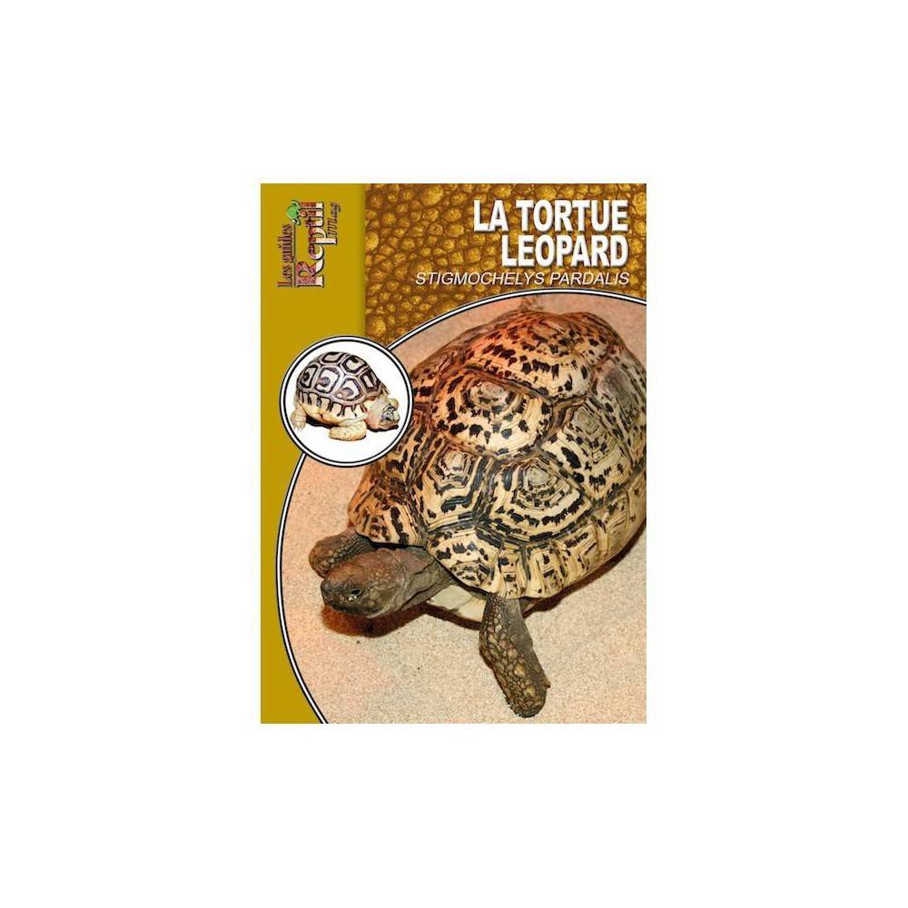 La tortue léopard- Stygmochelys pardalis- Les guides Reptilmag