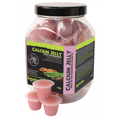 Calcium Jelly Pots Komodo