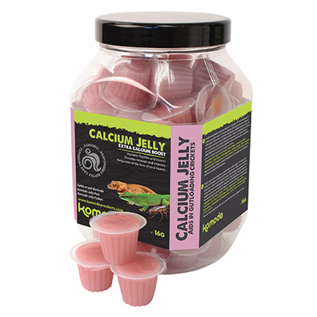 Calcium Jelly Pots Komodo