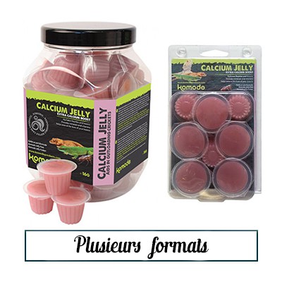 Calcium Jelly Pots Komodo