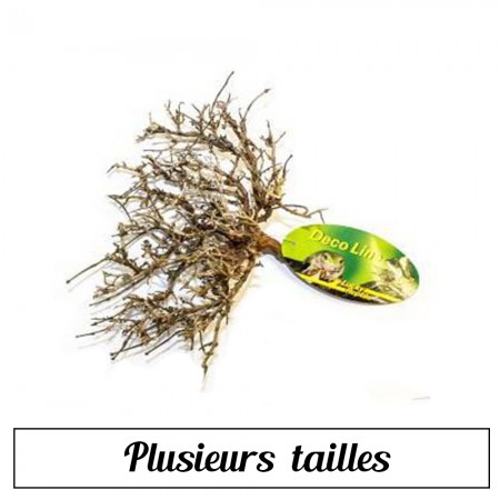 Buisson sec de désert 100% naturel - Lucky Reptile