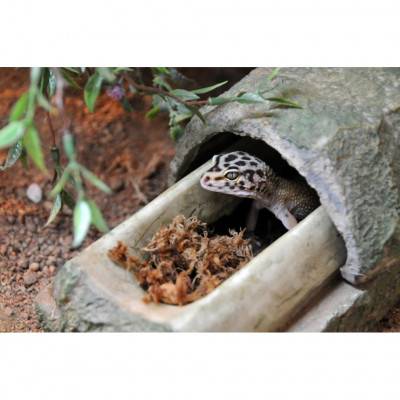 Cachette humide / site de ponte effet roche "MultiBox" - Lucky Reptile