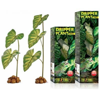 Dripper Plant Exoterra