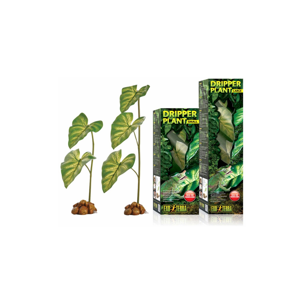 exo terra dripper plant large