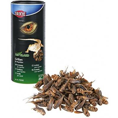 Grillons séchés pour reptiles insectivores - Trixie
