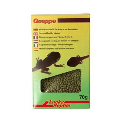 Zerone Bassin de nourriture pour reptiles Bassin de nourriture de