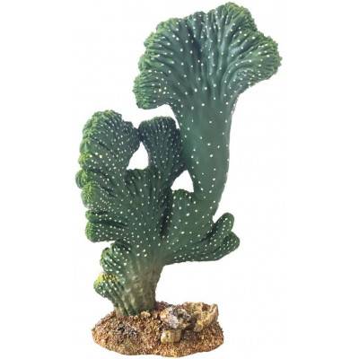 Cactus Victoria en résine...