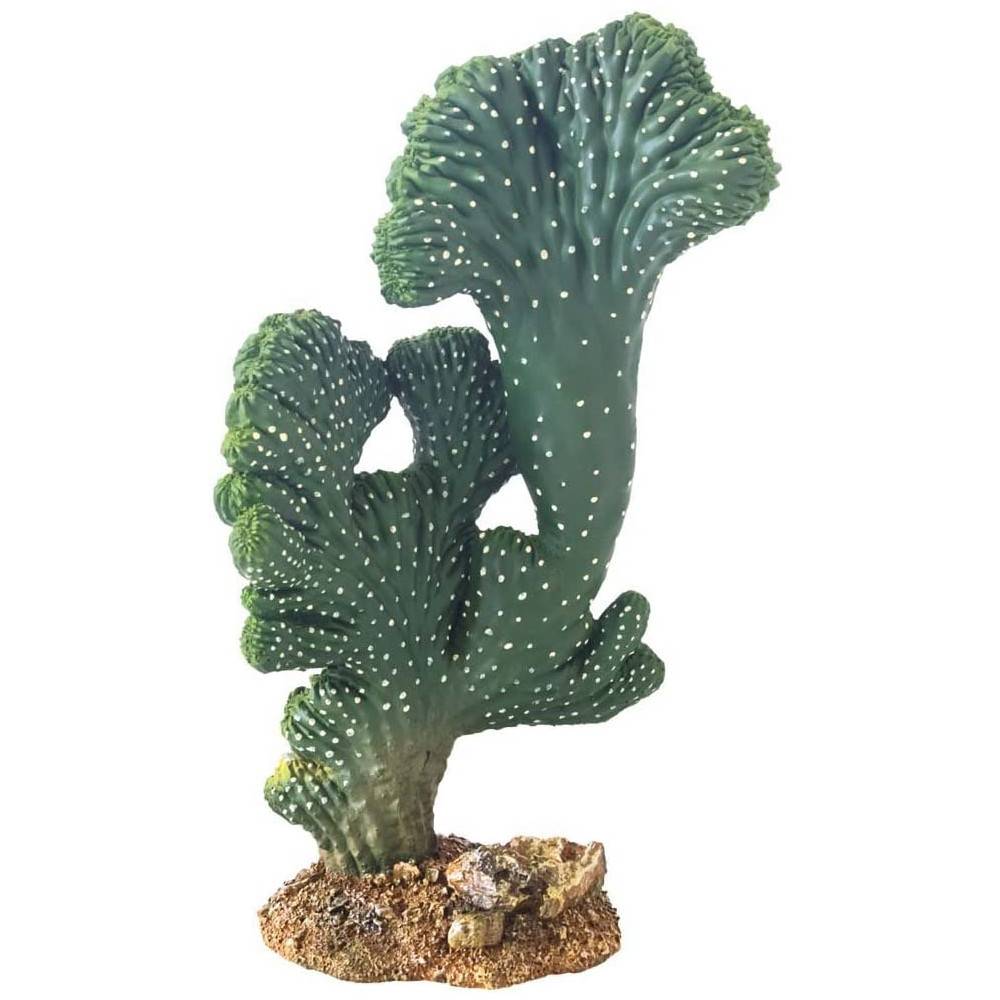 Cactus Victoria en résine Hobby Cactus Victoria en résine Hobby