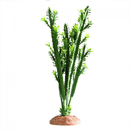 Euphorbia en plastique 50cm Hobby