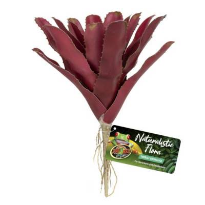 Plante en plastique Fireball Bromeliad Zoomed