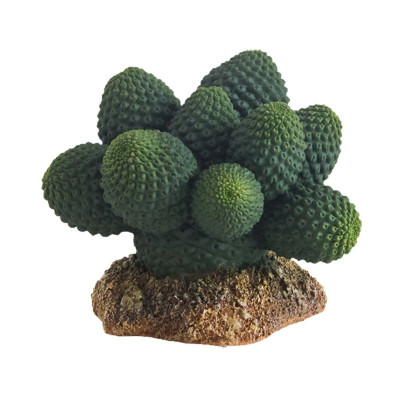 Cactus en résine "Kaktus...