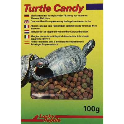 Plat De Nourriture En Acier Inoxydable Pour Reptiles, Facile à Nettoyer Et  à Disperser Uniformément, Bassin D'alimentation Pour Tortue En Forme De  Garde-corps Rond Pour La 