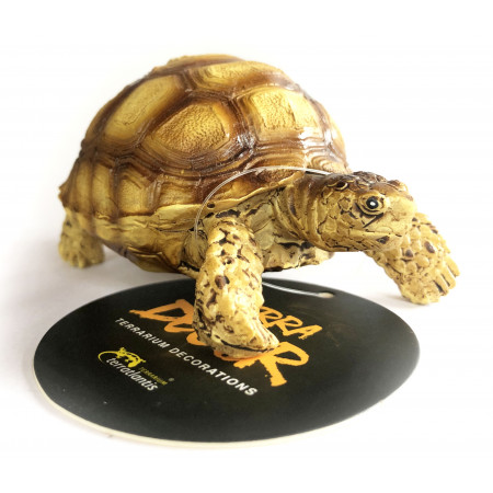 Figurine tortue sillonnée - Terratlantis