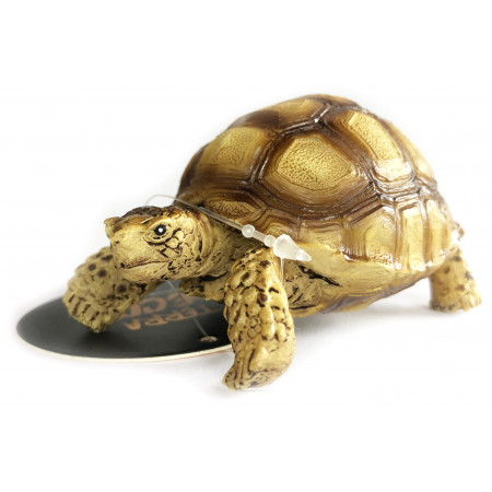Figurine tortue sillonnée - Terratlantis
