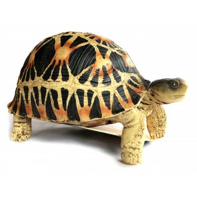 Figurine tortue étoilée -...
