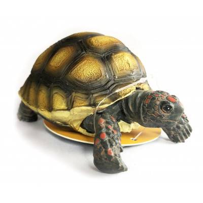 Figurine tortue...