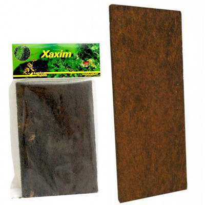 Plaque de Xaxim (fougères...