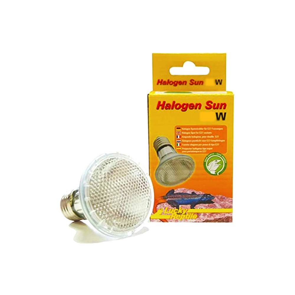 Mini spot LED x2 - Eclairage naturel pour plantes - Lucky reptile