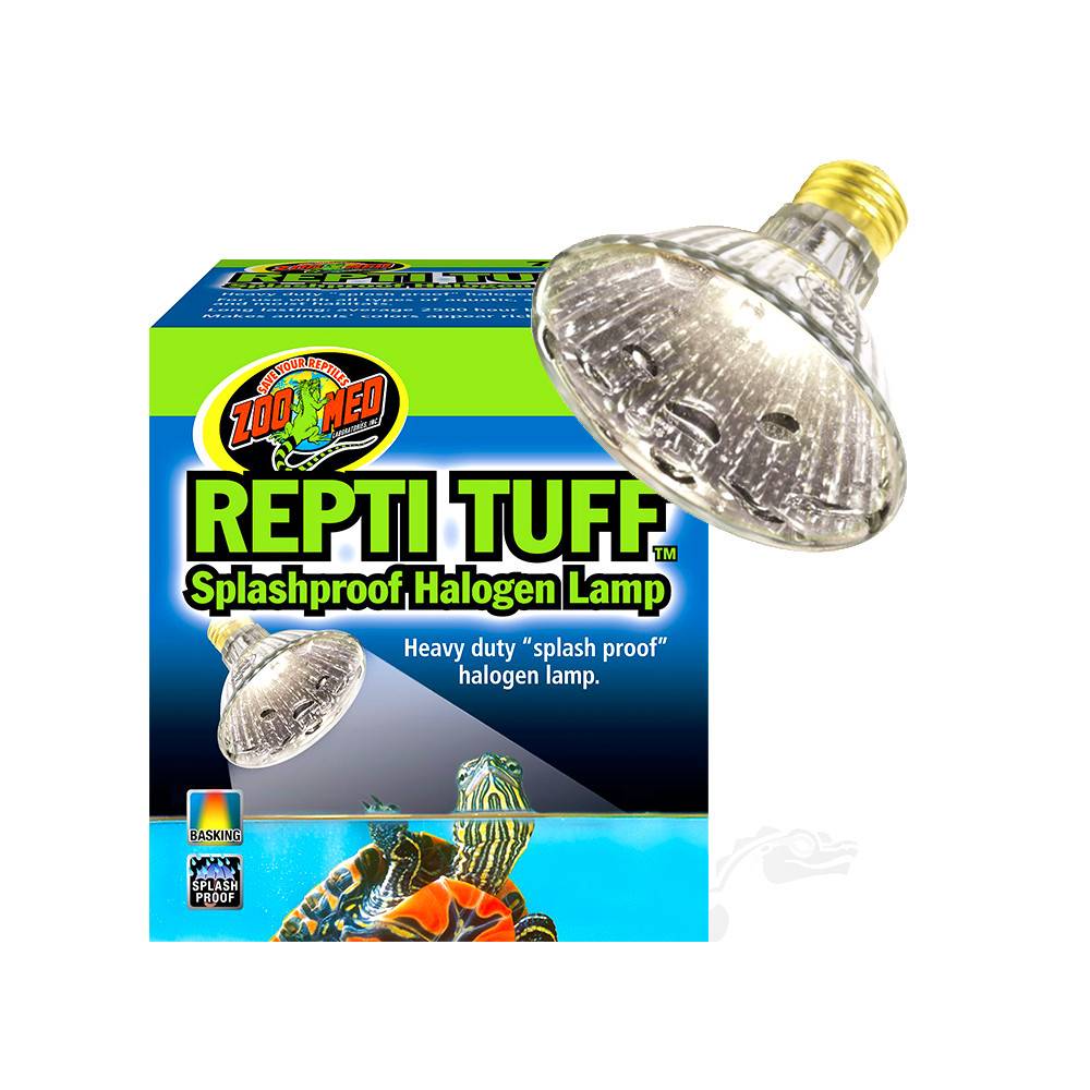 Abat-jour de protection anti-dérapant pour terrarium de reptiles, tortue,  lézard, support de lampe de salle, housse anti-brûlure pour animaux de  compagnie, abat-jour de lumière de sécurité - AliExpress