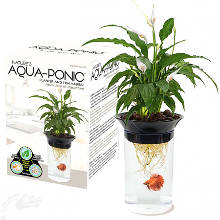 Kit jardinière aquarium "Nature's aqua-ponic" - Penn Plax