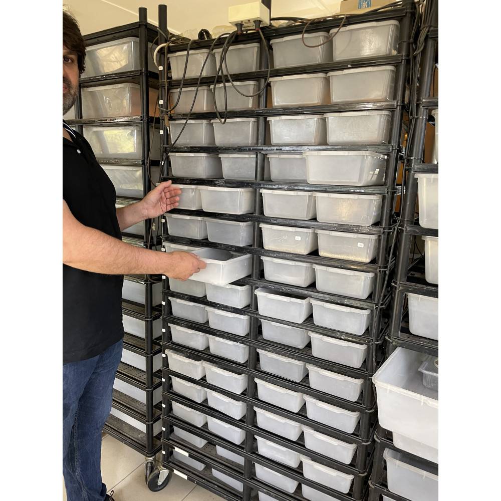 Racks Petites boites - Vision Cage Racks Petites boites - Vision Cage