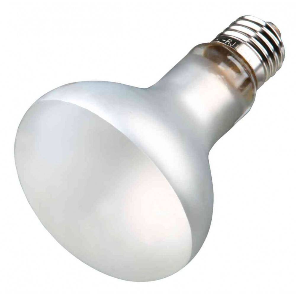Lampe UVB à vapeur de mercure "ProSun Mixed D3" Trixie — free download