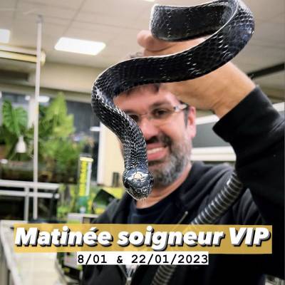 Matinée soigneur VIP -...