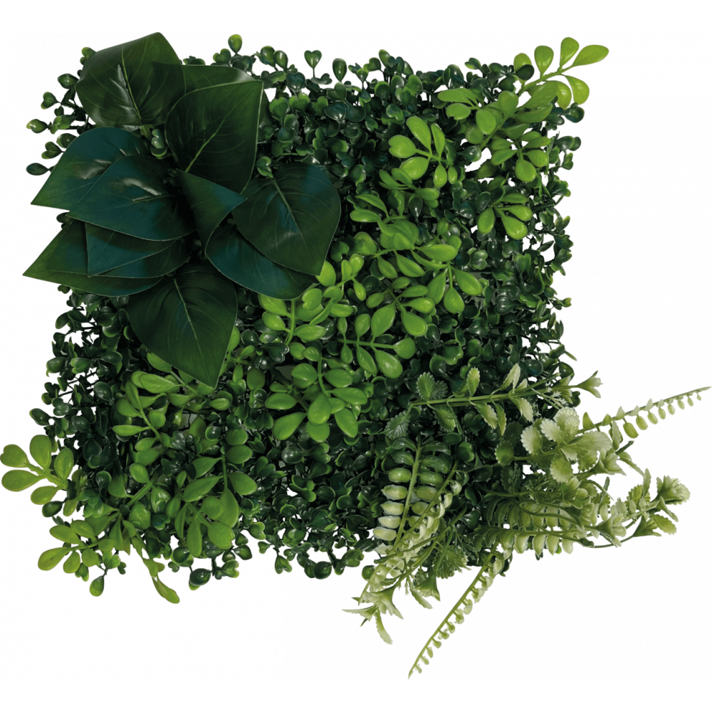 Fond végétal pour terrarium 25x25cm (n°2) Repto Plant Back wall - Habistat