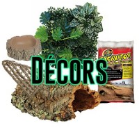 Aménagement et décorations pour terrarium - Bebesaurus