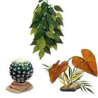Plantes artificielles pour terrarium 