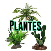 Plantes artificielles pour terrarium 