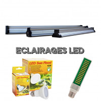 Lampes à LED pour reptiles et amphibiens en terrarium + plantes