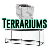 Acheter terrarium pour reptiles - tortue, serpent, gecko, Pogona - Bebesaurus