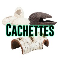 Cachettes et boites humides 