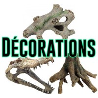 Décorations pour terrarium - Bebesaurus animalerie en ligne