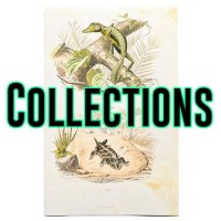 Chèque cadeau, T-shirt... Idées cadeaux pour terrariophiles !