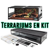 Terrariums en kit