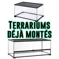 Terrariums montés