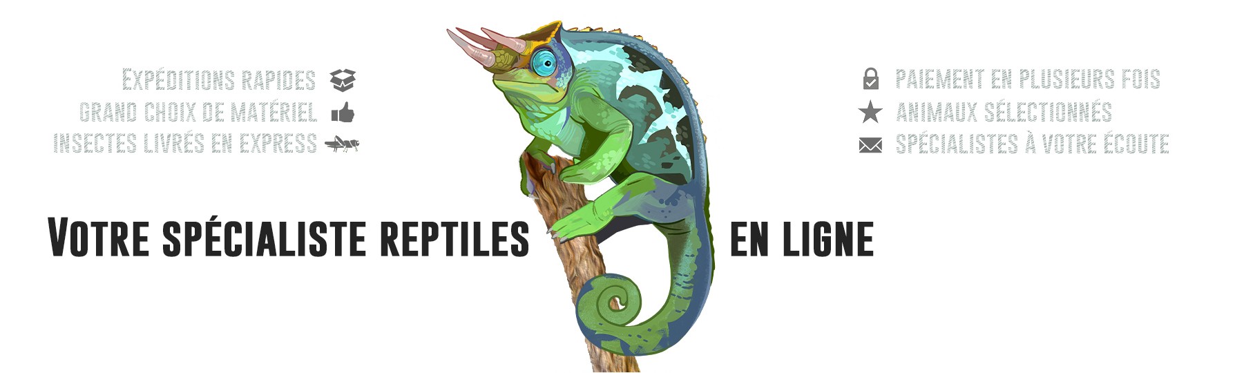 Votre spécialiste reptiles