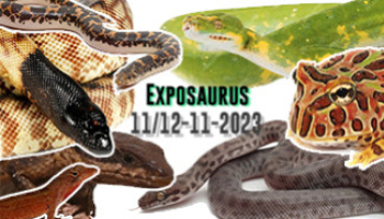 Exposaurus : un choix inédit d'animaux